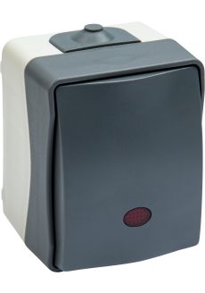 WU7407090_20260502_160854.jpg