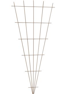 WU9965160_20260503_160957.jpg